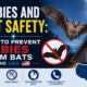 Rabies and Bat Safety